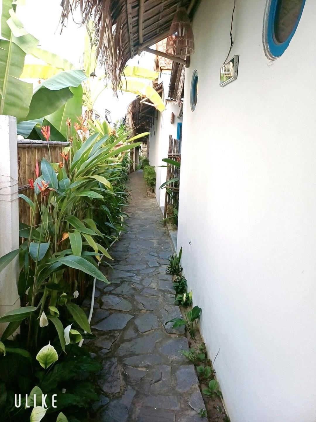 هوي ان Cashew Tree Bungalow المظهر الخارجي الصورة