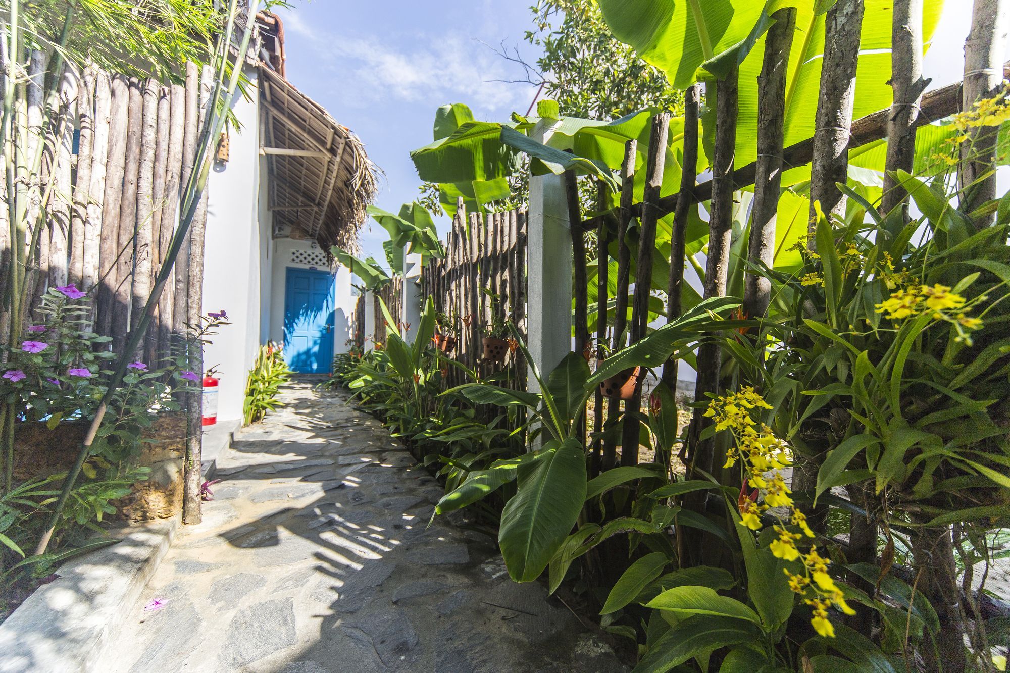 هوي ان Cashew Tree Bungalow المظهر الخارجي الصورة