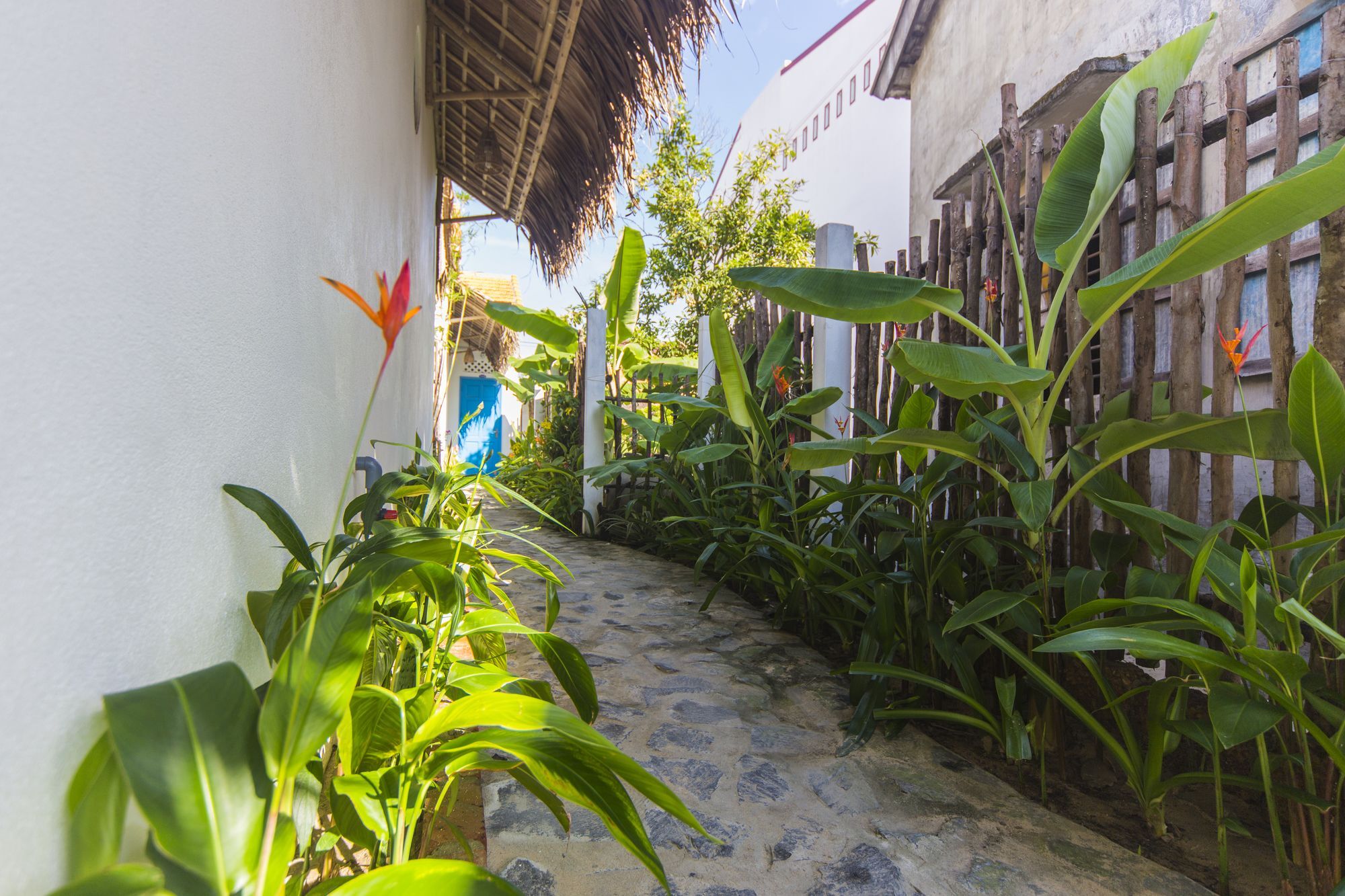 هوي ان Cashew Tree Bungalow المظهر الخارجي الصورة