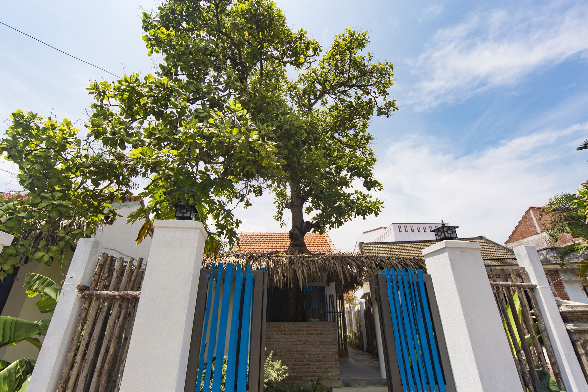 هوي ان Cashew Tree Bungalow المظهر الخارجي الصورة